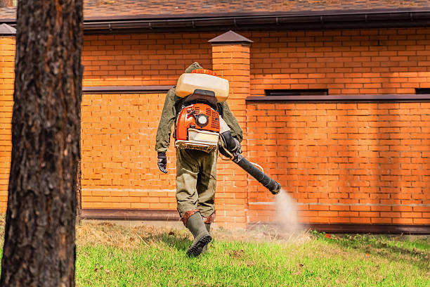 Bed Bug Clearance Verification and Documentation in Moapa Valley